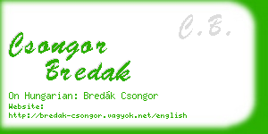 csongor bredak business card